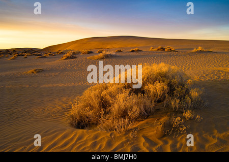 Le dune di sabbia in Natale Lake Valley, sud-est di Oregon. Foto Stock