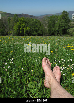 Paisaje cerca de Sarria. La Galizia. España. CAMINO DE SANTIAGO. Paesaggio vicino Sarria. La Galizia. Spagna. Modo di St James. Foto Stock