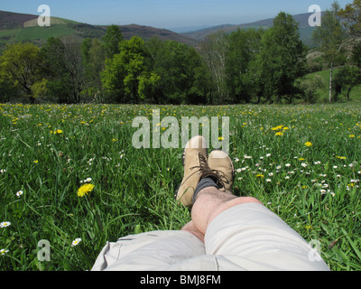 Paisaje cerca de Sarria. La Galizia. España. CAMINO DE SANTIAGO. Paesaggio vicino Sarria. La Galizia. Spagna. Modo di St James. Foto Stock