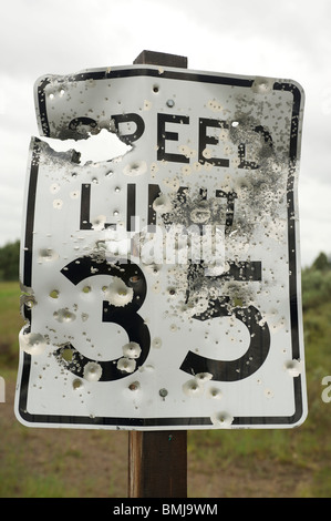 Bullet segnato e sparato fuori strada segno. Idaho USA Foto Stock