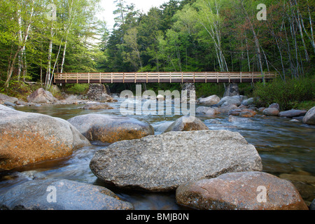 Passerella pedonale lungo il Lincoln Woods Trail, che attraversa Franconia Brook, nelle White Mountains, New Hampshire USA. Foto Stock