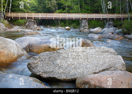 Passerella pedonale lungo il Lincoln Woods Trail, che attraversa Franconia Brook, nelle White Mountains, New Hampshire USA. Foto Stock