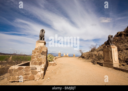 Porta del Leone alla Grotta Hill a San Xavier Missione, nei pressi di Tucson, Arizona. Foto Stock