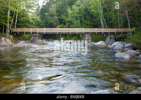 Passerella pedonale lungo il Lincoln Woods Trail, che attraversa Franconia Brook, nelle White Mountains, New Hampshire USA. Foto Stock