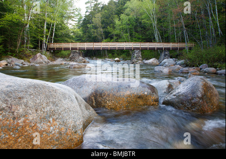 Passerella pedonale lungo il Lincoln Woods Trail, che attraversa Franconia Brook, nelle White Mountains, New Hampshire USA. Foto Stock