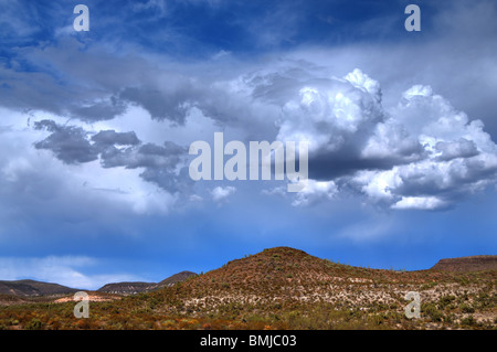 Edificio di tempesta oltre il deserto dell'Arizona USA Foto Stock