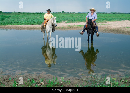 Pantanal cow-boys proveniente attraverso un laghetto, Pantanal, Brasile Foto Stock