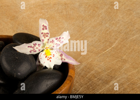 Zen-come la scena con fiori e candele Foto Stock