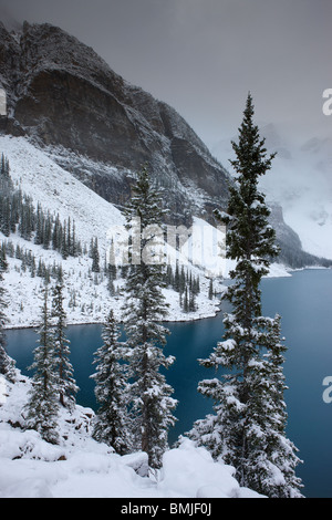 Una leggera nevicata fresca al Lago Morraine nella Valle dei Dieci Picchi, il Parco Nazionale di Banff, Alberta, Canada Foto Stock