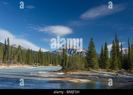 Il Fiume Athabasca presso Otto Cache del Parco Nazionale di Jasper, Alberta, Canada Foto Stock