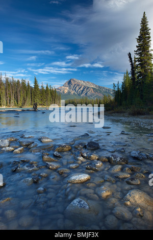 L'Athabasca River alla riunione delle Acque del Parco Nazionale di Jasper, Alberta, Canada Foto Stock