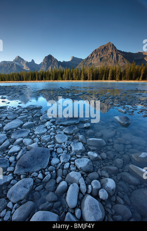 Il Fiume Athabasca con Mt Fryatt & Bruxelles picco, Jasper National Park, Alberta, Canada Foto Stock