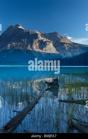 Il Lago di Smeraldo all'alba con i picchi del Presidente vanno ben oltre, Parco Nazionale di Yoho, British Columbia, Canada Foto Stock