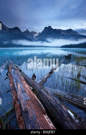 Il Lago di Smeraldo all'alba con i picchi del Presidente vanno ben oltre, Parco Nazionale di Yoho, British Columbia, Canada Foto Stock