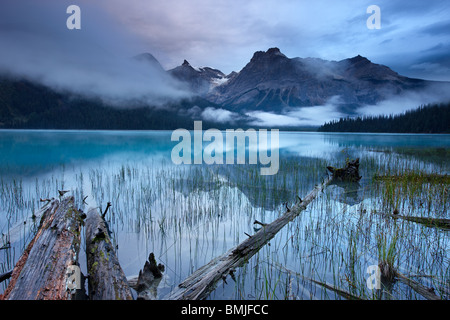 Il Lago di Smeraldo all'alba con i picchi del Presidente vanno ben oltre, Parco Nazionale di Yoho, British Columbia, Canada Foto Stock