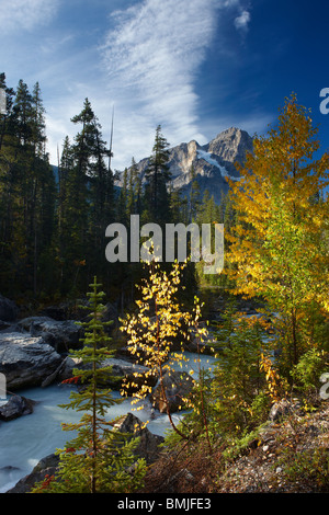 Incontro delle Acque;Yoho & Kicking Horse con cattedrale sopra dirupi, Parco Nazionale di Yoho, British Columbia, Canada Foto Stock