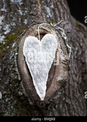 La Scandinavia, Svezia, Nacka, forma di cuore decorazione su albero, close-up Foto Stock