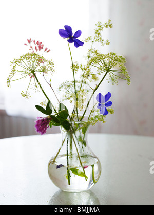 La Scandinavia, Svezia, Smaland, vista del vaso di fiori sul tavolo Foto Stock