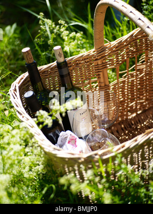 La Scandinavia, Svezia, bottiglie di vino nel cestello, close-up Foto Stock