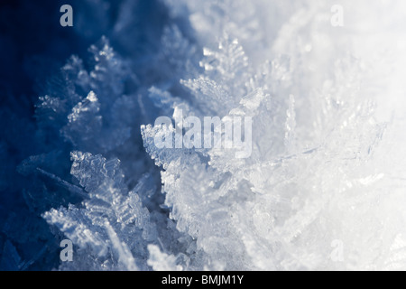 Penisola Scandinava, Svezia, Skane, Sodermanland, vista di fiocchi di neve, close-up Foto Stock