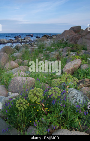 La Scandinavia, Svezia, Smaland, vista di angelica con il mare in background Foto Stock