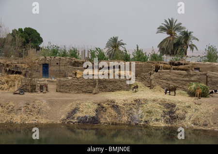 Egitto Luxor, tipica casa di fango lungo i canali di Luxor. Foto Stock