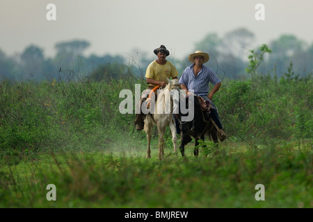 Pantanal cow-boys proveniente attraverso un laghetto, Pantanal, Brasile Foto Stock