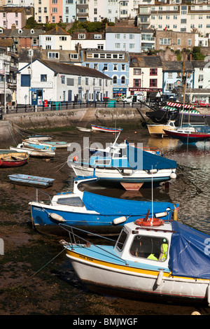 Regno Unito, Inghilterra, Devon, Brixham leisure e barche da pesca nel porto Foto Stock