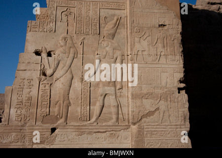 Il bassorilievo di Cleopatra III e il dio Horus nel tempio di Sobek e Haroeris, Kom Ombo, Aswan, Egitto Foto Stock