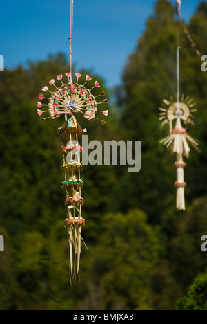 Decorative lungo i pali di bambù, localmente noto come 'penjor' costruita quando gli Indù Balinese celebrare Galungan e Kuningan giorno. Foto Stock
