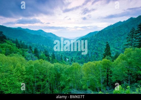 Bella vista sulle montagne, il Parco Nazionale di Great Smoky Mountains Foto Stock