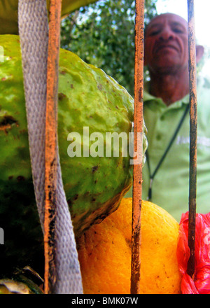 Un uomo vende frutta su una strada a Santo Domingo, Repubblica Dominicana Foto Stock