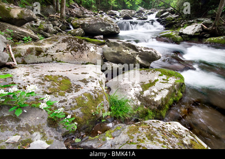 Smoky Mountain Waterfall Foto Stock