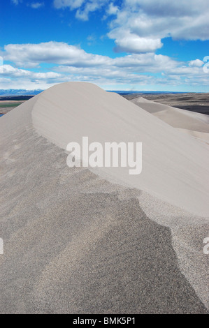 Picco di Bruneau Sand Dunes, Idaho. Più alte dune di sabbia negli Stati Uniti, 470 piedi alta. Foto Stock