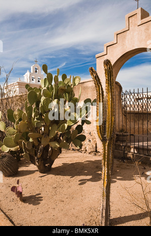 Fichidindia, altre cactacee e campane a Xavier Missione, nei pressi di Tucson, Arizona. Foto Stock