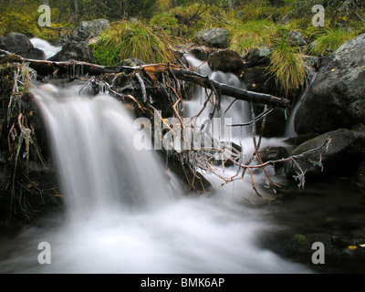 Acqua che scorre da una piccola cascata in montagna Foto Stock