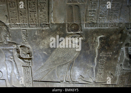 Il bassorilievo di Horus in uno dei cinque cripte nel tempio di Hathor, Dendera, Qina, Egitto Foto Stock