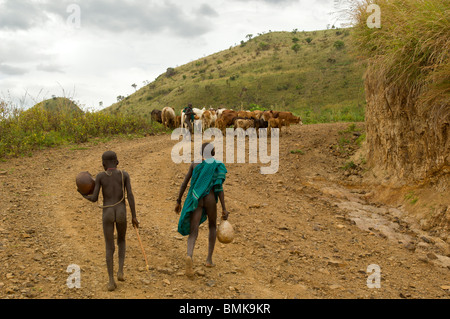 Etiopia, regione dell'Omo, Tulgit. Giovani Suri (Surma) tribù ragazzi con acqua gords immobilizzare i bovini su strada. Foto Stock