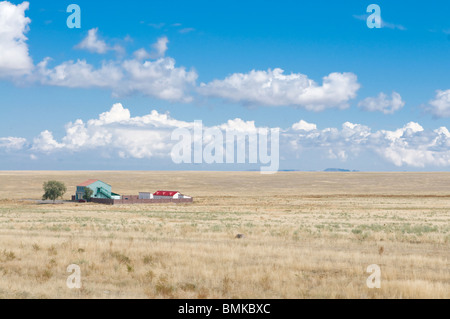 Azienda agricola nella steppa. Das Tamagaly, Kazakistan Foto Stock