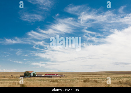 Azienda agricola nella steppa,Tamagaly Das,Kazakistan Foto Stock