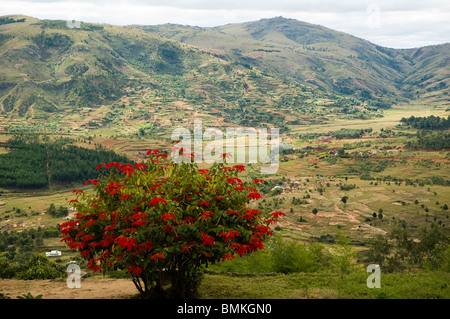 Madagascar Antananarivo. Vista panoramica dalla Collina reale di Ambohimanga. Foto Stock