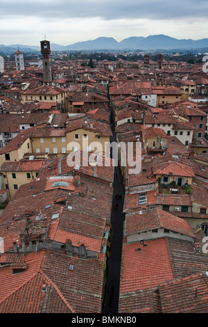 Vista di Lucca di tetti, tetti, Toscana, Italia, Europa Foto Stock