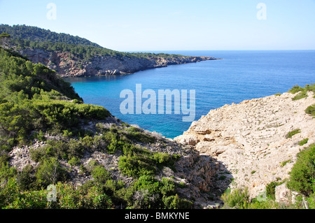 Vista costiera, Cala de Sant Vicent, Ibiza, Isole Baleari, Spagna Foto Stock