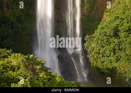 Chamarel acqua a cascata più alta delle Mauritius, oltre mille metri di discesa, Sud Maurizio, Africa Foto Stock
