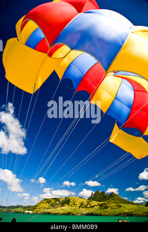 Il parasailing in vista impressionante di Lion in montagna Southl Maurizio, Africa Foto Stock