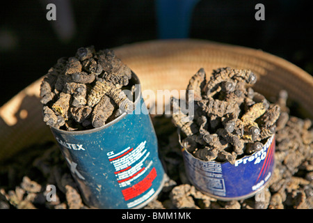 Africa, Namibia Windhoek. Essiccate e affumicate Mopane worms, trovati in strada dei mercati in Namibia, Foto Stock