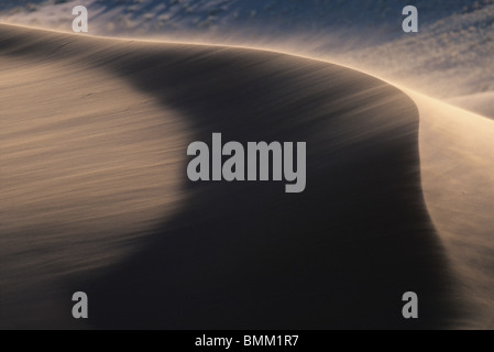 Africa, Namibia, Namib Nauklift National Park, pomeriggio di sole illumina la sabbia soffiando da dune nel deserto del Namib vicino al Sossusvlei Foto Stock