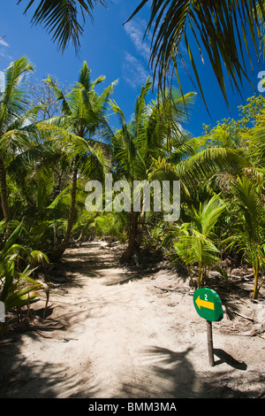 Seychelles, Isola Curieuse, marsh a piedi e modo di numero 2 Foto Stock