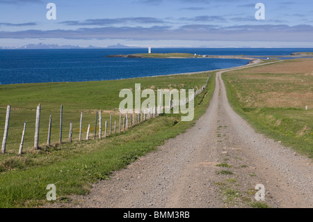 Strada di campagna che conduce attraverso il tipico paesaggio nel fiordo,Vatnsnes,Islanda Foto Stock