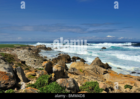 Onde infrangersi lungo la costa rocciosa, punto Joe, Pebble Beach California Coast Brandt di cormorani sul rock in distanza di ampio angolo di visione Foto Stock